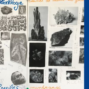 03_Classificatieopdracht lesmodule Musaeum-Wunderkammer_groep 8_2019